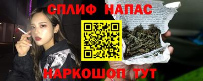 молекула духа Донецк