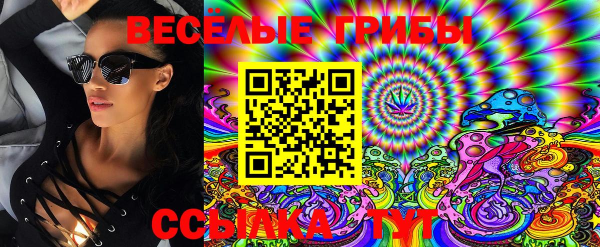 Галлюциногенные грибы GOLDEN TEACHER Шебекино