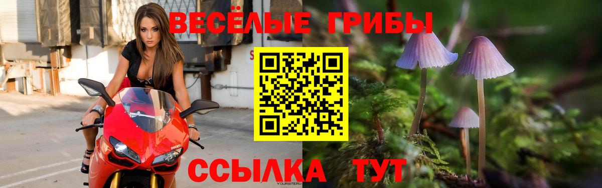 Шебекино  Псилоцибиновые грибы Cubensis  Псилоцибиновые грибы мицелий  Вход с VPN 